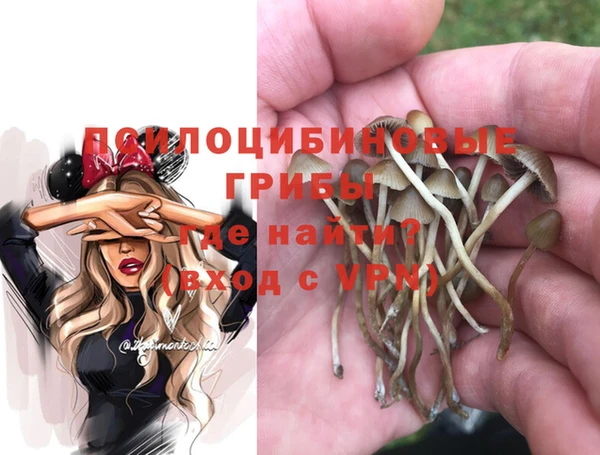 бошки Лагань